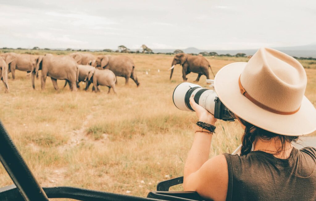 gir safari booking